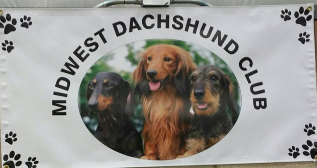 Midwest dachshund club
